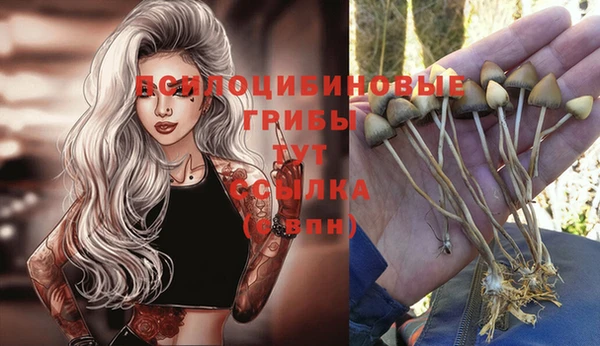 бутик Ельня