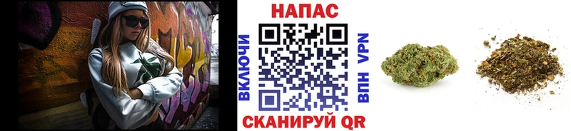 Купить где  Верхняя Пышма  Конопля марихуана 